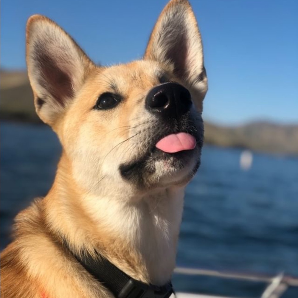 Meet your Posher, Liv